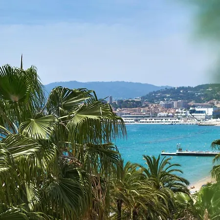 Croisette Port Canto *